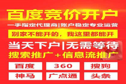 搜索引擎营销（SEM）托管服务在提升ROI方面的案例